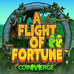 A Flight of Fortune