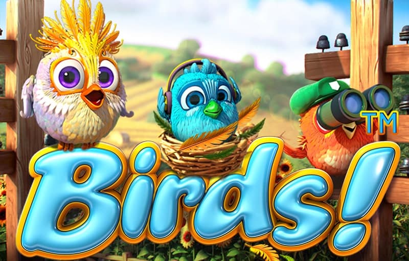 Birds!