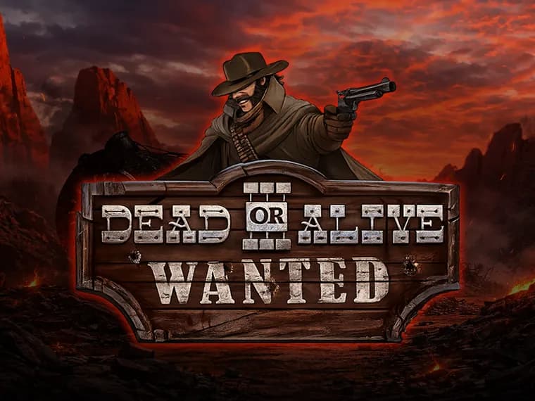 Dead or Alive™ 3: Wanted