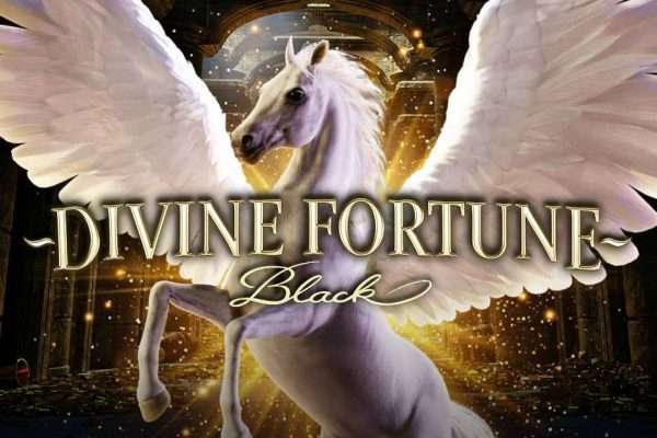 Divine Fortune Black