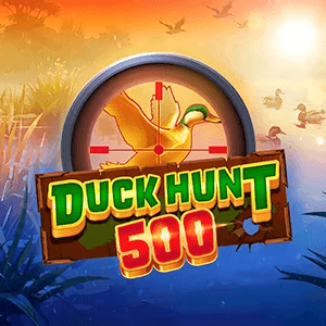 Duck Hunt 500