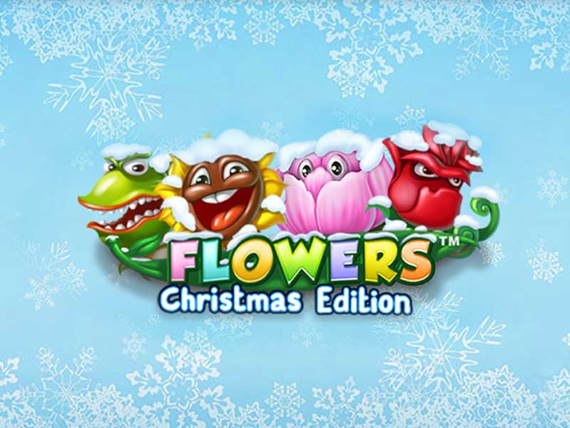 Flowers Christmas