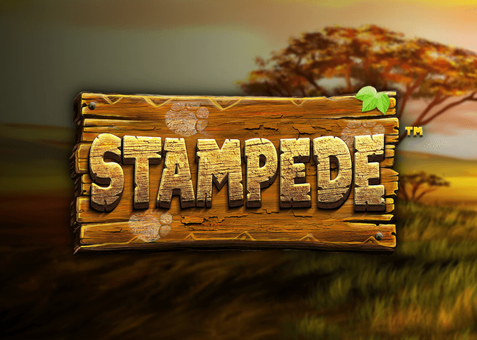 Stampede