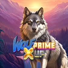 Wolf Prime X UP
